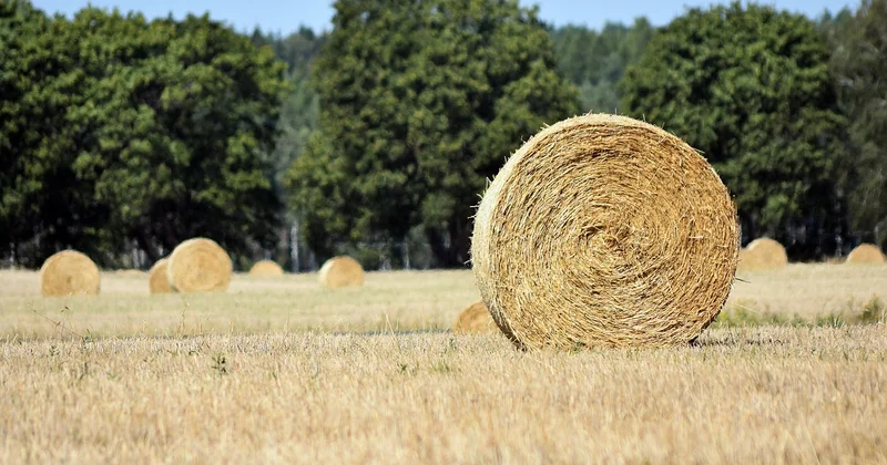 Quand partir : les saisons qui font la différence