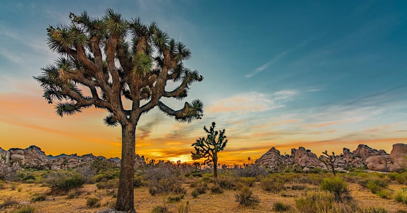 Parcs nationaux à visiter : guide des plus beaux espaces naturels